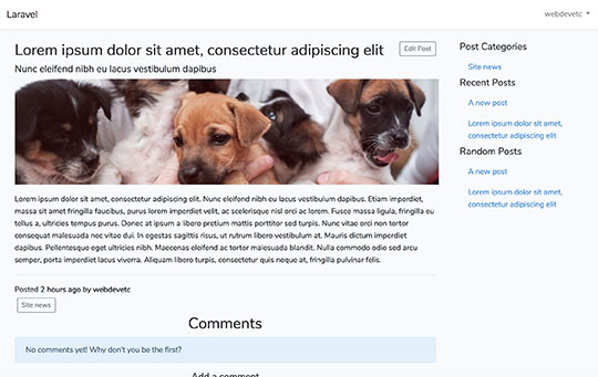 Viewing the blog (public view) - full single post view